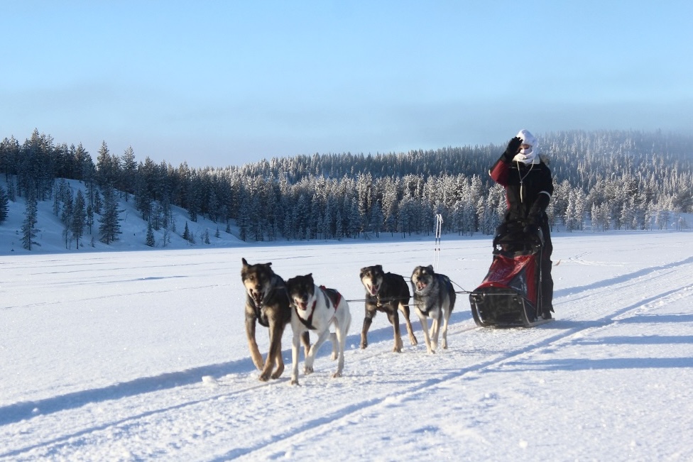 Lappland Urlaub im Winter Lappland Urlaub im Winter