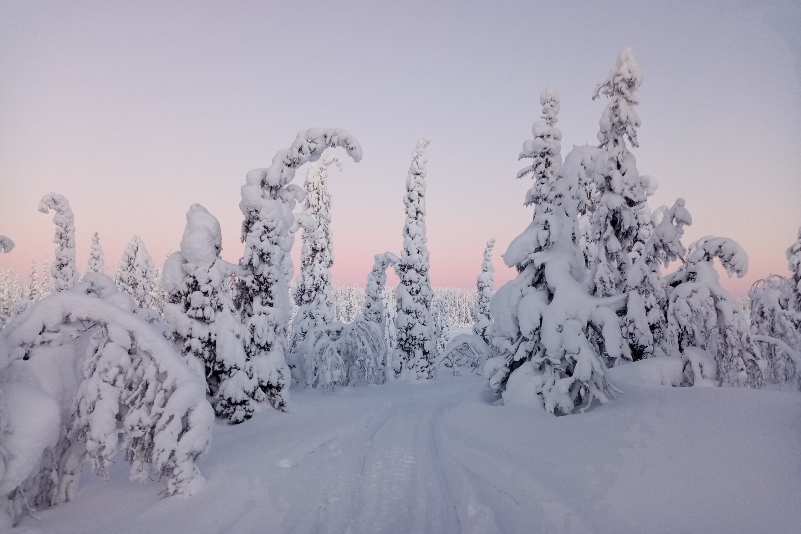 Lappland Urlaub im Winter