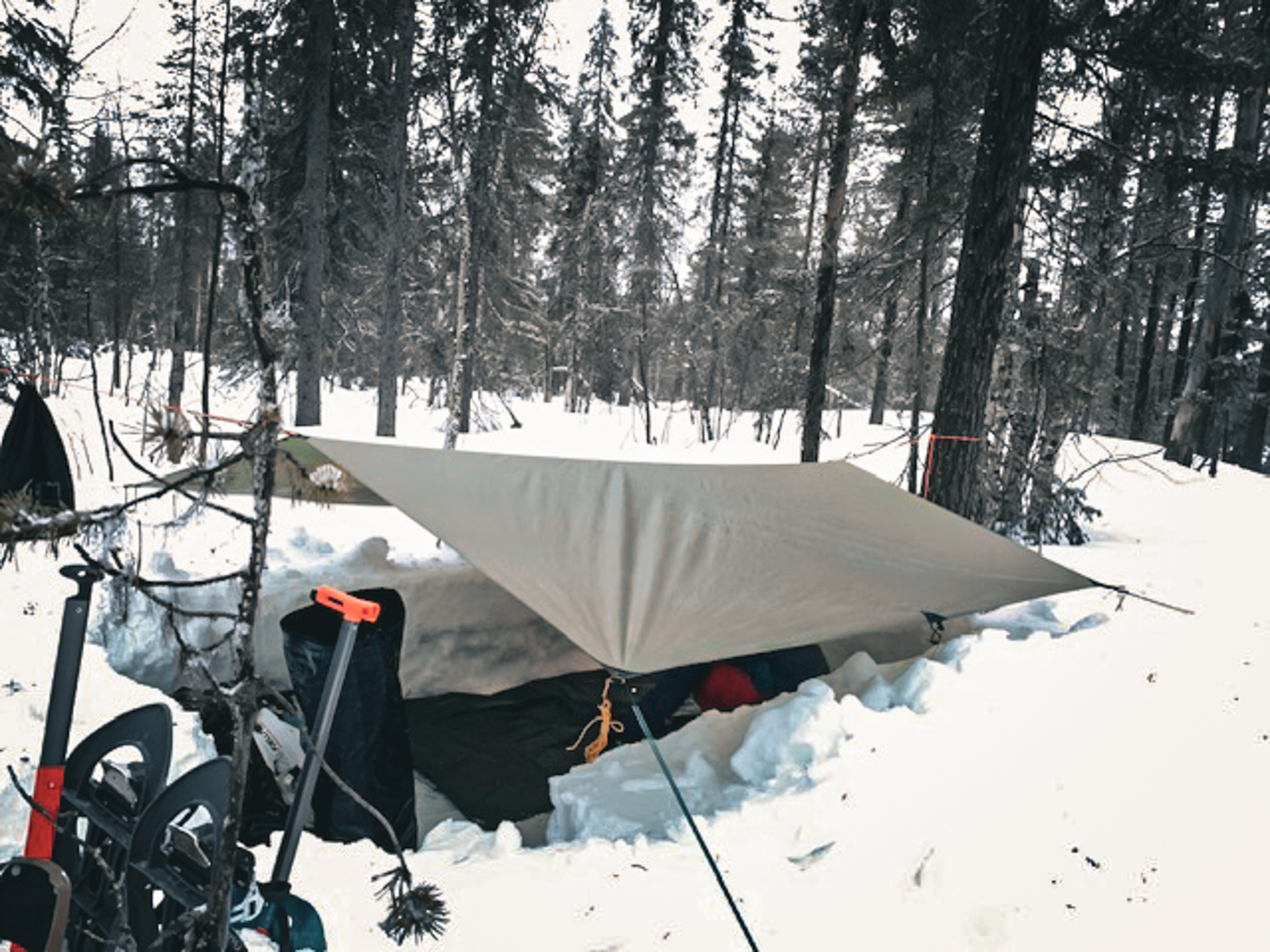 Wilderness Guide Ausbildung